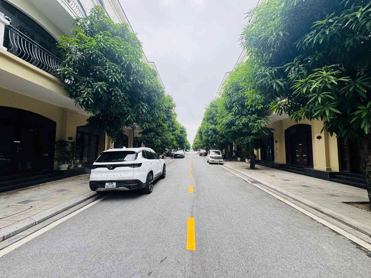 Bán liền kề đường Chà Là 7 Vinhomes Ocean Park 2 60m2 Mt 4m