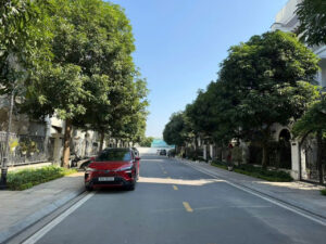 Bán song lập Sao Biển 6 Vinhomes Ocean Park Gia Lâm hướng đông nam 150m2 mặt tiền 10